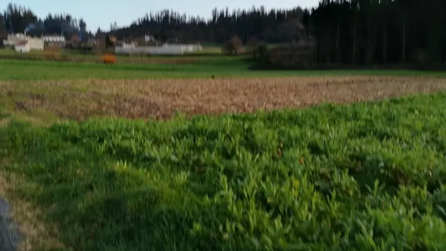 TERRENO Y EDIFICIO EN VENTA — 10
