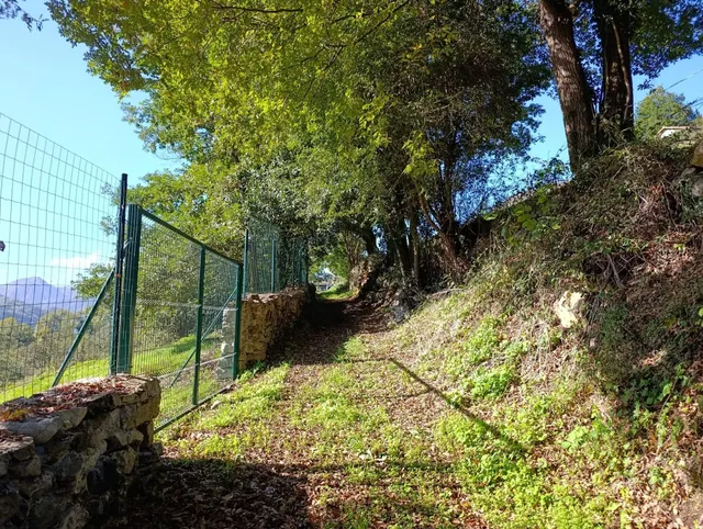 Terreno urbano en venta - Trubia — 36