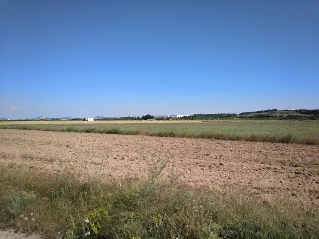 PARCELA DE 22.400 M2 EN PARAJE "EL RUBIAL" — 3