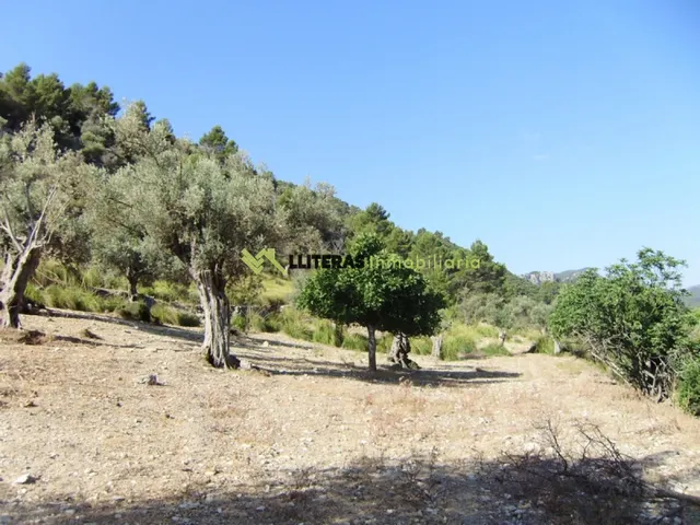 Fantástica finca para restaurar con vistas increíbles — 13
