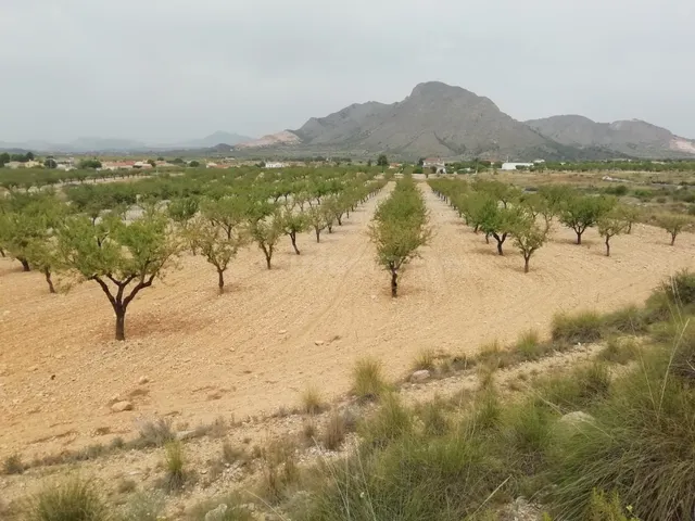 Terreno en Barbarroja - foto 2