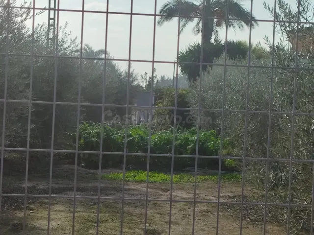 venta Parcela - la zona la hoya-Elche - foto 2