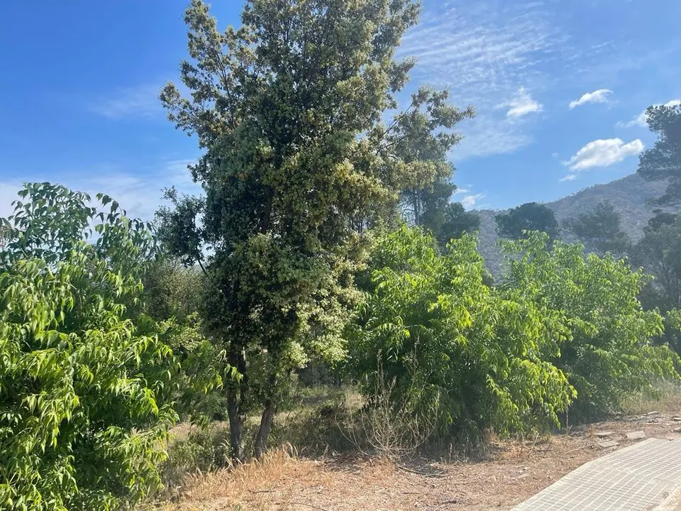 GRAN TERRENO EN CAL ANTON
