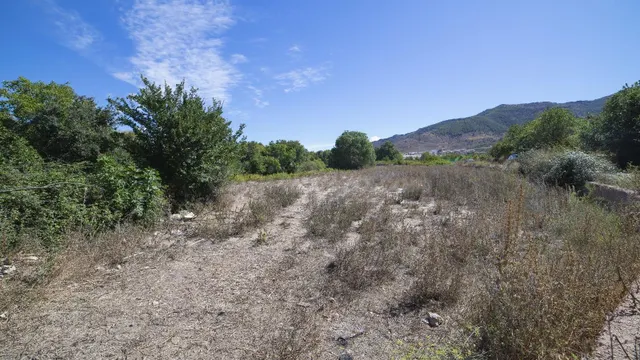 Exclusiva Finca en venta Fondón. ¡Con permiso de construcció - foto 4