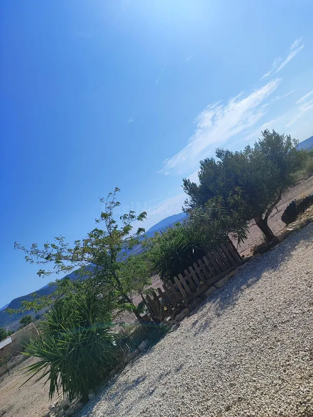 Se vende chalet /monovar / listo para vivir / arboles frutales — 27