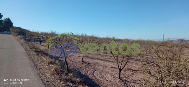 Terreno-parcela en Purias — 9