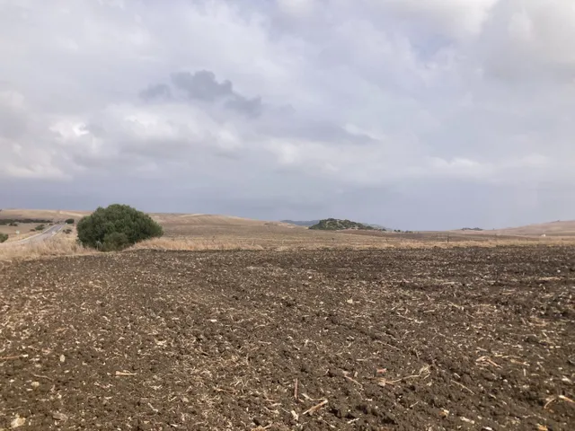 PARCELA RÚSTICA EN LA CARRETERA VEJER- EL PALMAR — 2