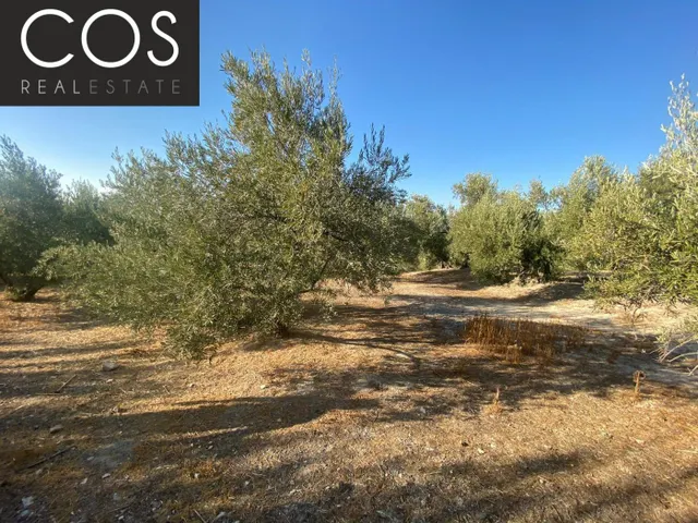 Parcela 40m² en venta - Urbanizacion azahar — 11