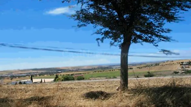 SUELO QUINTA DE MACHADO EN ECIJA - foto 5
