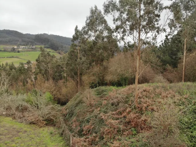 Finca Urbana en OzaCesuras — 14