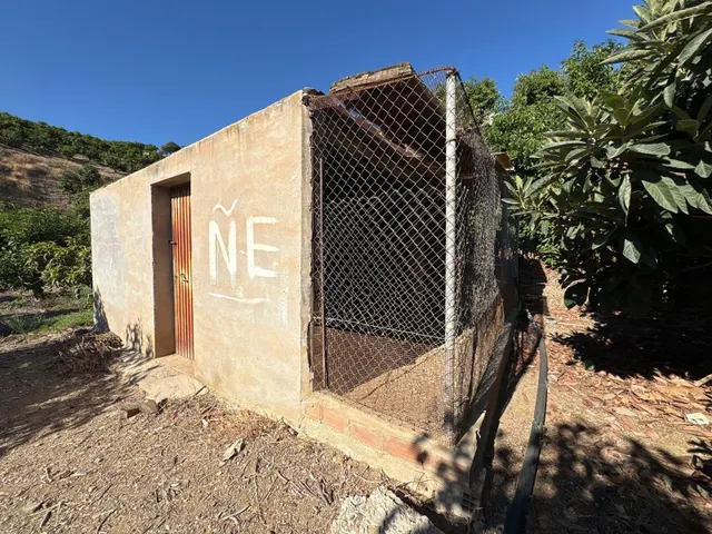 Finca rústica con cultivos y pozos propios en Vélez-Málaga — 25