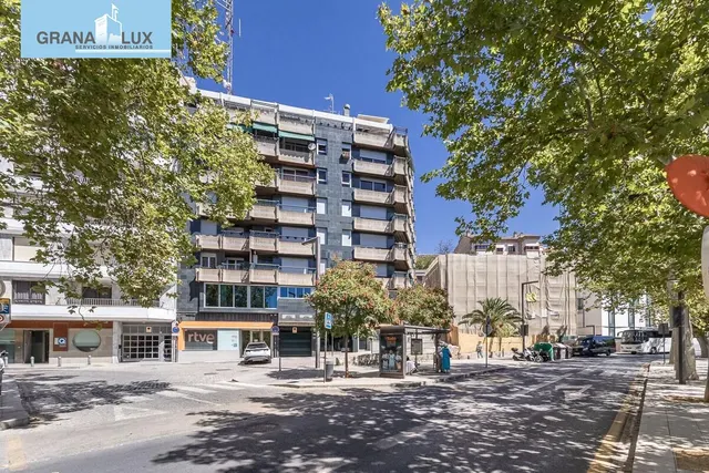 EXCLUSIVO INMUEBLE EN PLAZA DE CARRETAS, JUNTO AL EMBLEMÁTICO PASEO DEL SALÓN — 27