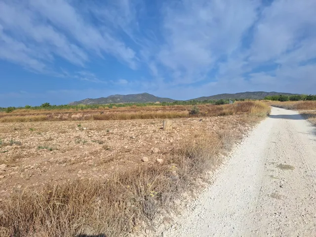¡Parcela edificable de 16964 m2, vallada, con agua de riego y muy buen acceso, a solo 5 minutos de Pinoso! — 14