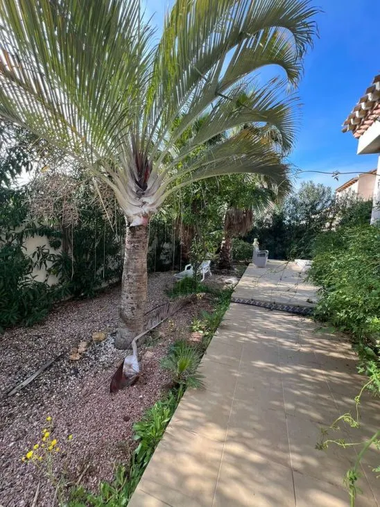 Villa 3 habitaciones 130m² en venta - La Zenia — 10