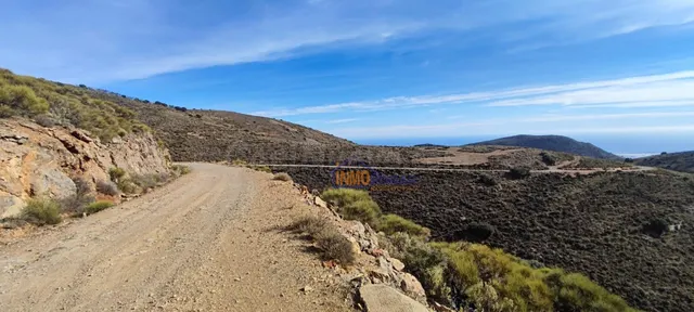 *FINCA DE 30.145 MTR LLENA DE FRUTALES DIVERSOS CON CASA, UN - foto 2