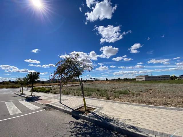 ALQUILER de Suelo Terciario-Comercial en la ZONA EL OLIVAR — 2