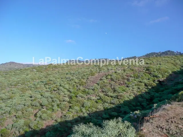 Suelo rústico en Venta en Tricias, Las Santa Cruz de Tenerif - foto 3