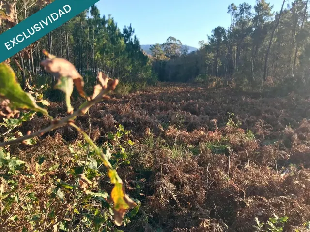 Terreno edificable en A Toxeira - foto 4