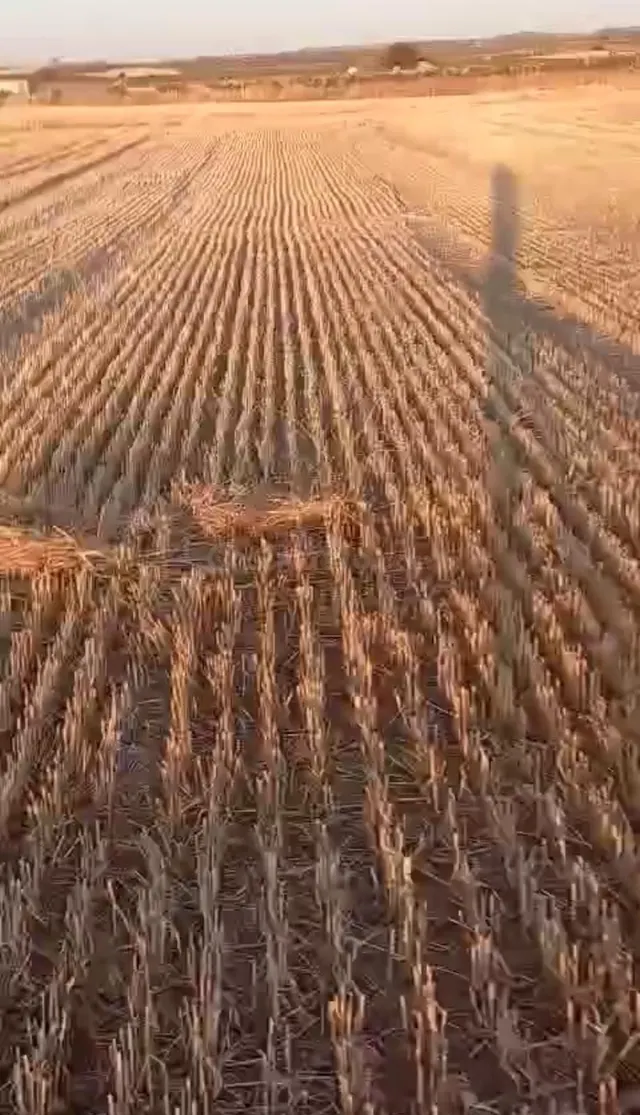FINCA RUSTICA EN ALMAGRO, CIUDAD REAL, ESPAÑA - foto 4