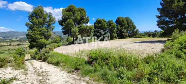 FINCA RUSTICA PARA REHABILITAR - foto 3