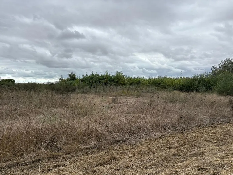 Junto al pueblo. Las Coritas