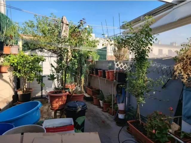 OPORTUNIDAD ÚNICA EN SON RAPINYA – PALMA DE MALLORCA — 35
