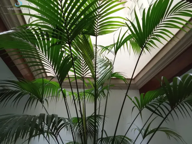 Piso en edificio rehabilitado en zona Plaza Candelaria — 15