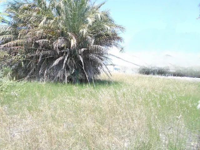 Solar en venta - Oliva, Zona de - Oliva - foto 2