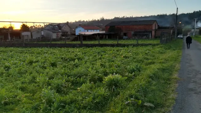 TERRENO Y EDIFICIO EN VENTA - foto 3