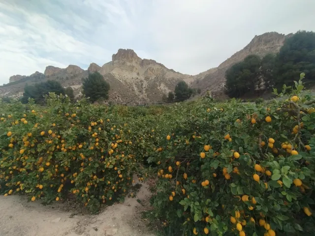 ¡Descubra una oportunidad única en el corazón del Valle de Ricote! — 6