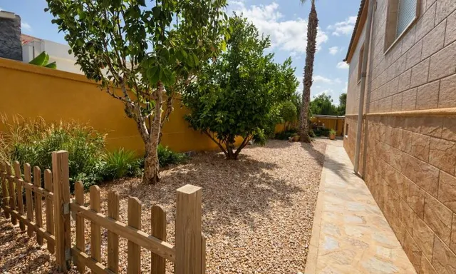 Villa 5 habitaciones 440m² en venta - Pinar de Campoverde — 15