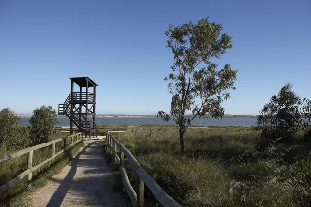 Nueva Promoción de villas en Torrevieja, a 2 km del Mar — 8