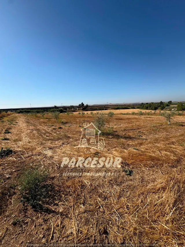 Terreno Rural de 12000 m2 en El Higuerón con Olivos y Riego  - foto 3