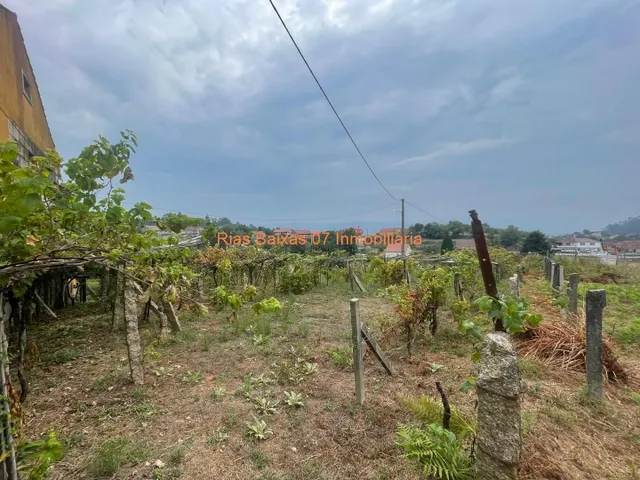 REF 4183 SOLAR DE 836m2 EN ZONA ALTA Y VISTAS DESPEJADAS TAMEIGA ( MOS ) — 10
