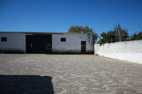 Magnifico terreno, para construir cocheras o viviendas en Sevilla