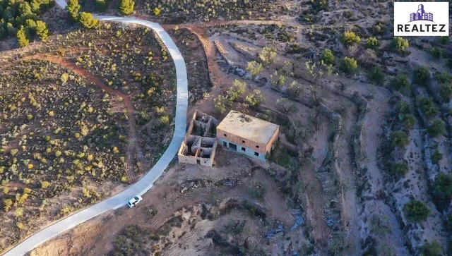 FINCA EN VENTA EN ALCOLEA CON UNA NAVE CONSTRUIDA Y CULTIVO 