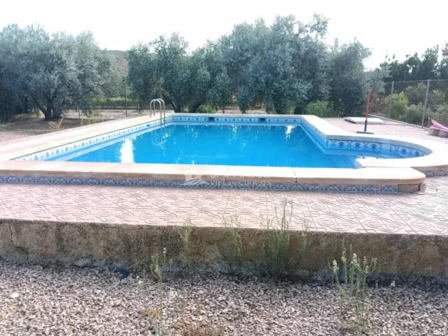 SE VENDE CHALET EN BUEN ESTADO EN MONFORTE DEL CID EN LA ZONA DEL FONT DEL LLOP — 16