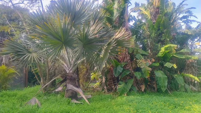 Parcela 727m² en venta - Marbella — 7