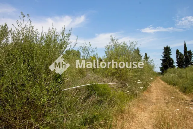 Finca rústica 1m² en venta - Centro