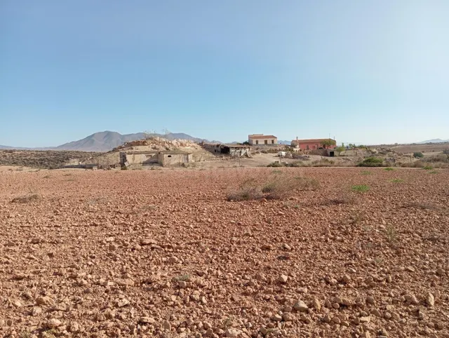 FINCA AGRICOLA DE 14 HAS CON 2 VIVIENDAS Y ALMACENES - foto 3