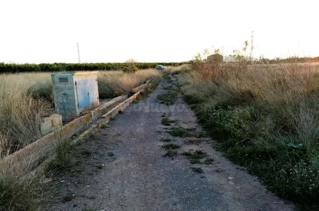 Terreno Rústico 2000m² en venta - Comunidad valenciana - foto 5