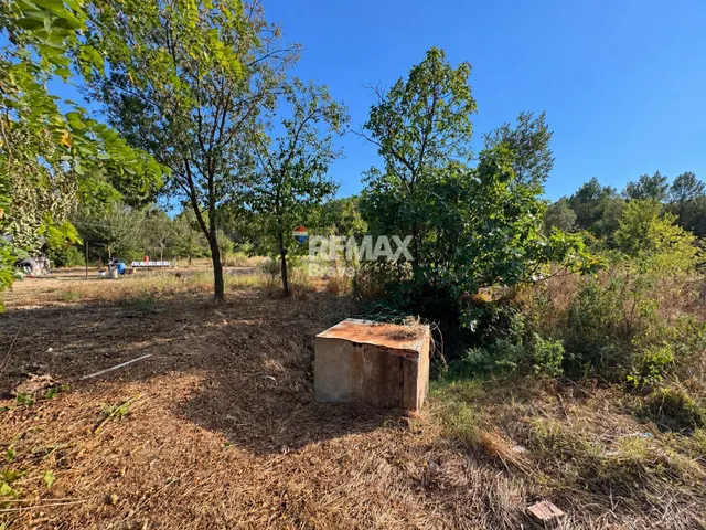 Sarrià de Ter (Girona) | Masía tradicional catalana para rehabilitar con finca rústica de 7.878 m2 — 18