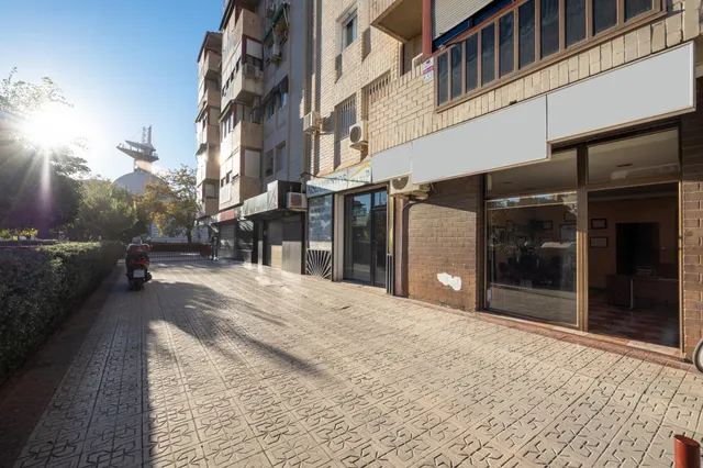 Local comercial en magnifica ubicación. Jardin de la Reina — 3
