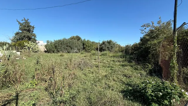 Oportunidad de Inversión en Terreno Rústico - La Alberca, Murcia — 6