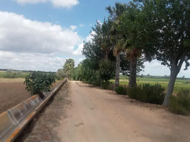 VENTA DE PARCELA EN LA CORCHUELA - foto 4