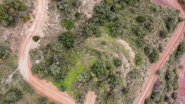 Parcela rural 5.000 m² en Fuengirola con vistas panorámicas y privacidad total — 7