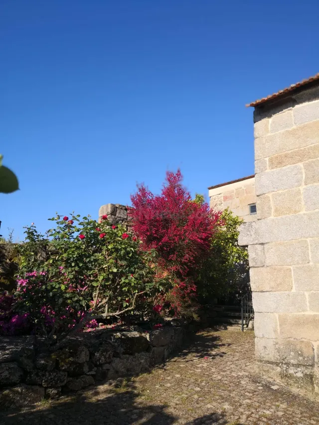 Casa con viÑ±edo en el Ribeiro: refugio de lujo ðð¡ - foto 2