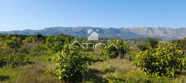 Chalet con 7 anegadas rodeado de naturaliza situado en Gandia zona Marxuquera — 2