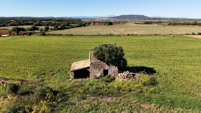 Finca rústica en Manacor con proyecto de ejecución — 3