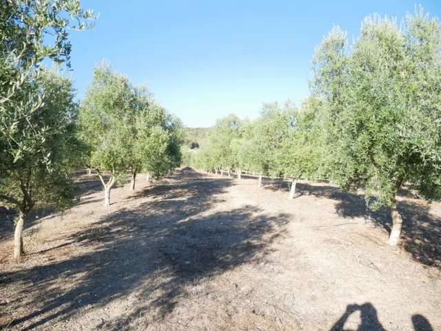 VENTA PARCELA PRADO DEL REY - foto 3